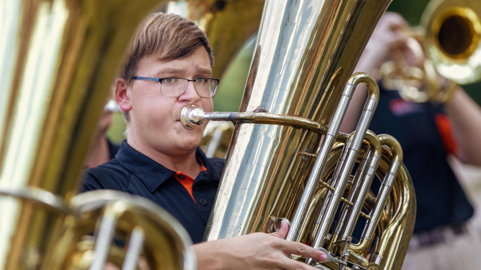 Tiger Bands